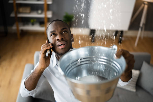 Best 24/7 water damage repair  in Roland, IA