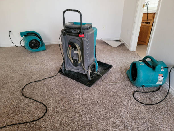 Best Professional water damage repair  in Roland, IA