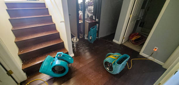 Best Fire Damage Restoration  in Roland, IA