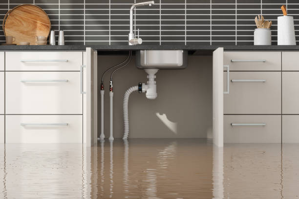 Best Carpet water damage restoration  in Roland, IA