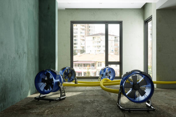 Best Residential water damage restoration  in Roland, IA